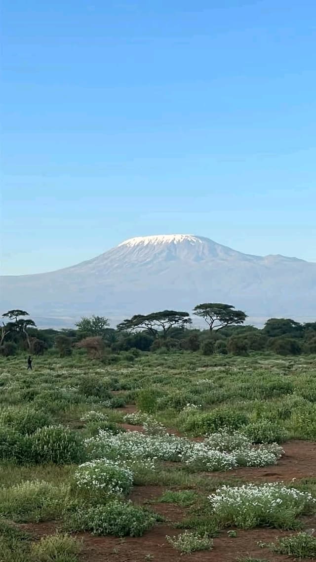 WILDLIFE AND BIRD WATCHING SAFARIS